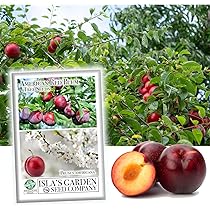 Apple - さとし 2a951eb1-ee79-4f45-aab6-